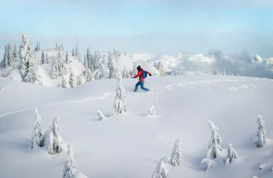 想了解更多APP与官网双端界面流畅，操作直观，适配移动与桌面场景。相关内容，尽在熊猫体育。 - 熊猫体育